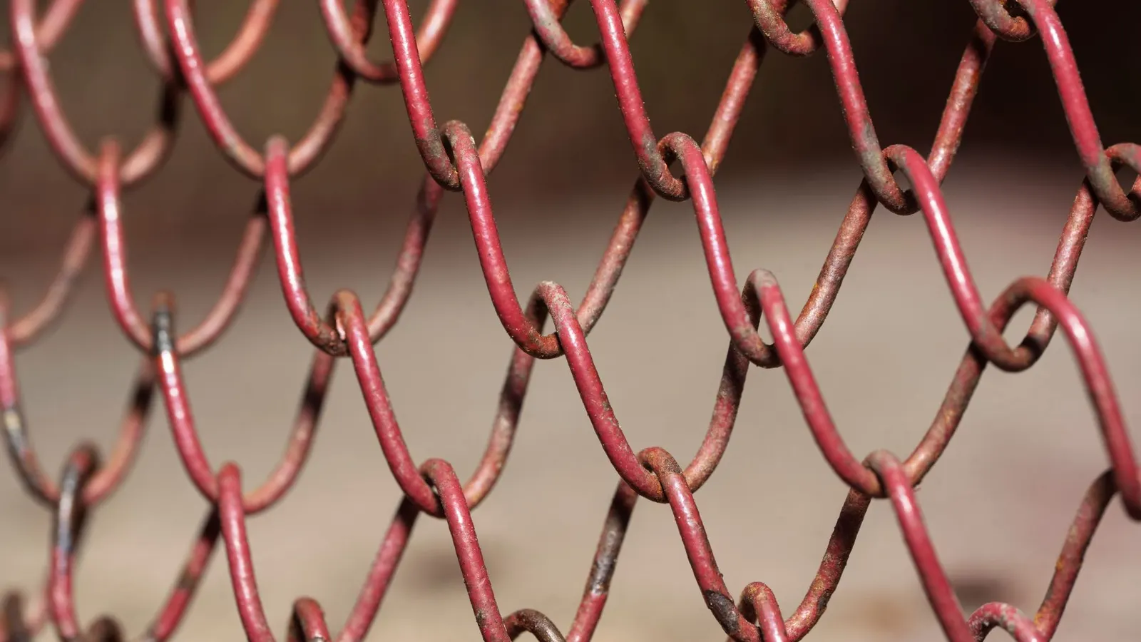 Backlink et netlinking : définition et bonnes pratiques