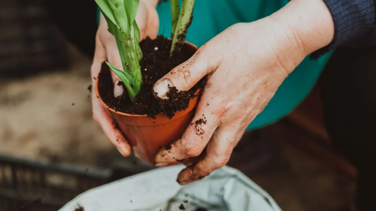 Le lead nurturing : définition et méthode